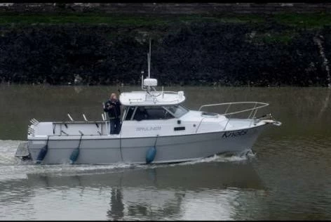 贝琳娜(Bayliner)800二手游艇