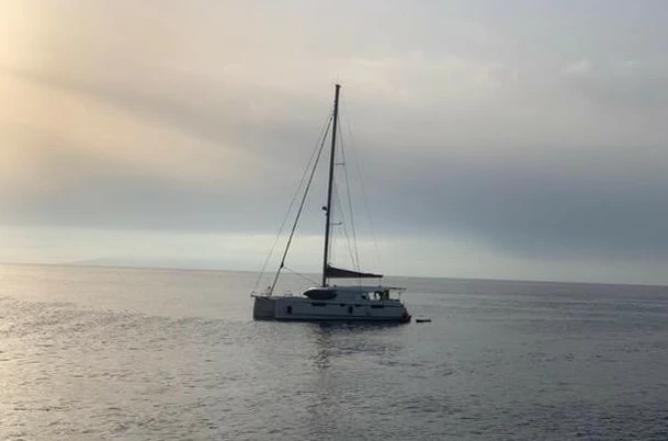 远洋航海双体帆船价格多少