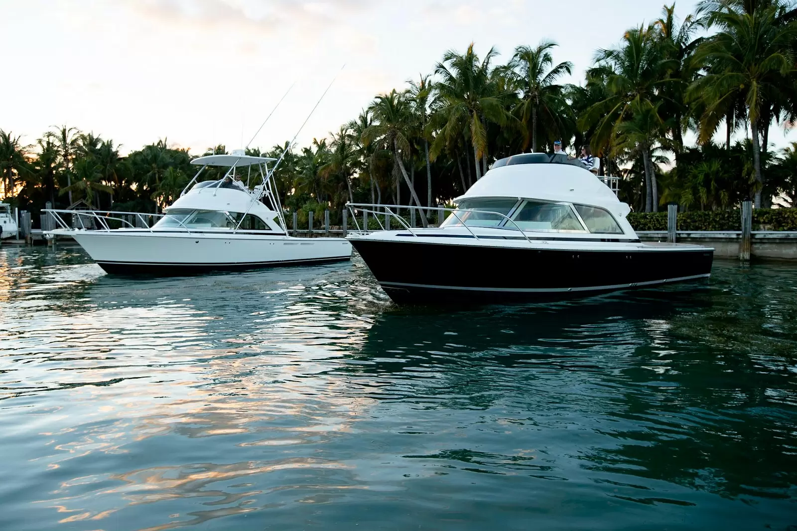 拜泰姆（Bertram）35 FLYBRIDGE