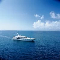 遨慕世（Amels）custom 434