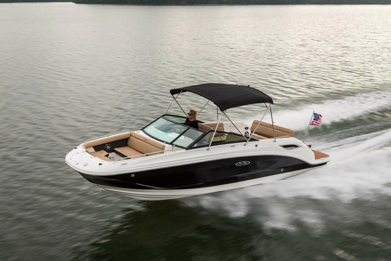 希瑞（SeaRay）SDX 250