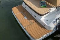 希瑞（SeaRay）SDX 250