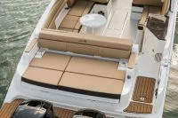  希瑞（SeaRay）SDX 290 OUTBOARD