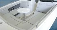 希瑞（SeaRay）SDX 290