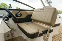 希瑞（SeaRay）SDX 250 OUTBOARD