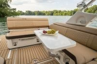 希瑞（SeaRay）SDX 250 OUTBOARD