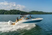 希瑞（SeaRay）SDX 250 OUTBOARD