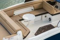 希瑞（SeaRay）SDX 290
