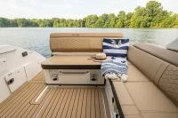 希瑞（SeaRay）SDX 250 OUTBOARD