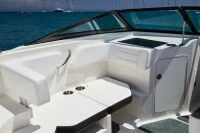 希瑞（SeaRay）SPX 190 OUTBOARD