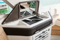 希瑞（SeaRay）SLX 310 OUTBOARD