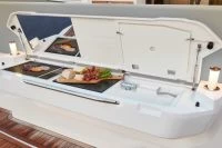 西莱（Sealine）s390