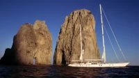 皇家豪斯曼（RoyalHuisman）JULIET