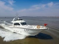 金运（Goldluck）JY700