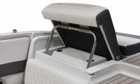 科罗娜（Crownline）210 SS