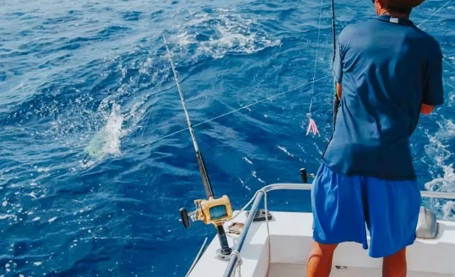 威海游艇租赁价格、服务与最佳出海时段详解
