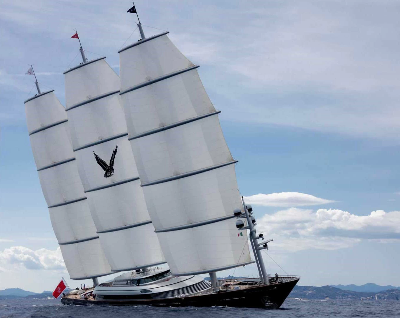 佩里尼·纳威（PeriniNavi）MALTESE FALCON