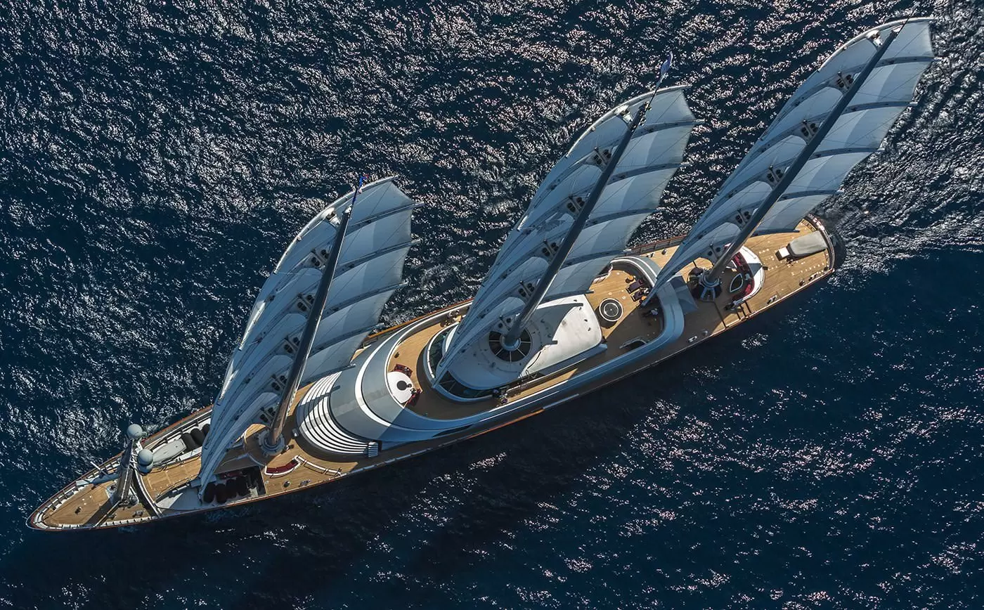 佩里尼·纳威（PeriniNavi）MALTESE FALCON