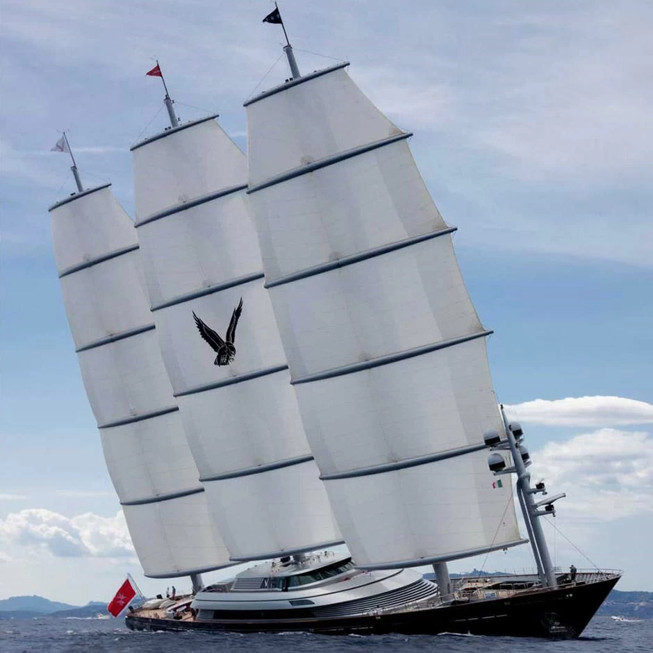 佩里尼·纳威（PeriniNavi）MALTESE FALCON