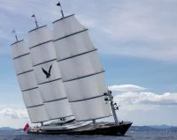佩里尼·纳威（PeriniNavi）MALTESE FALCON
