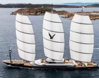 佩里尼·纳威（PeriniNavi）MALTESE FALCON