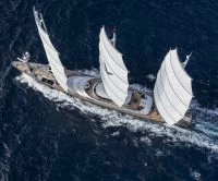 佩里尼·纳威（PeriniNavi）MALTESE FALCON