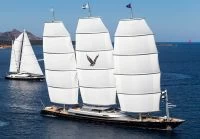 佩里尼·纳威（PeriniNavi）MALTESE FALCON
