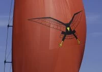 佩里尼·纳威（PeriniNavi）SEAHAWK